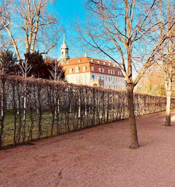 Restaurant Vitzthum Schloss Lichtenwalde